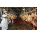 Full Automatic Control Type Chicken Slaughter Line